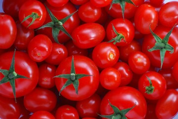 تاثیر منفی آهن بر خاصیت ضدسرطانی گوجه فرنگی