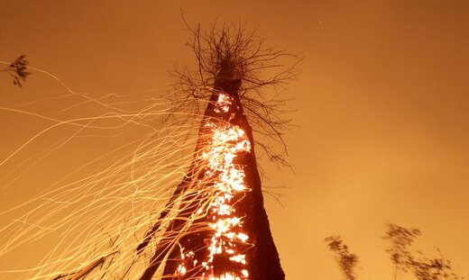 آتش‌سوزی جنگل‌های آمازون در برزیل