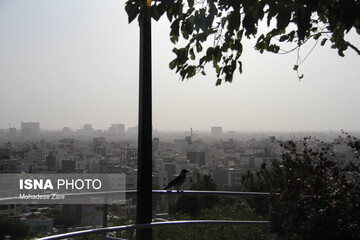 آلودگی هوای مشهد