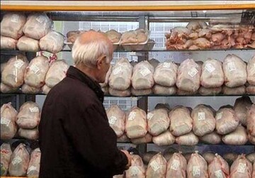 صادرات بی‌مجوز مرغ ادامه دارد؛ قیمت گوشت سفید ثابت ماند