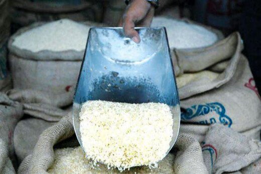 قیمت جدید برنج در بازار اعلام شد/ قیمت برنج چقدر تغییر کرد؟