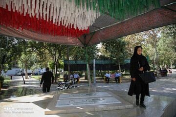ستاره‌هایی که پروای نام ندارند