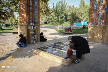 ستاره‌هایی که پروای نام ندارند