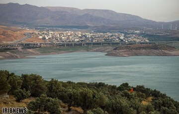 آغاز فصل برداشت زیتون در منجیل