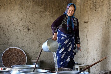برداشت انگور و تولید شیره در دره جوزان