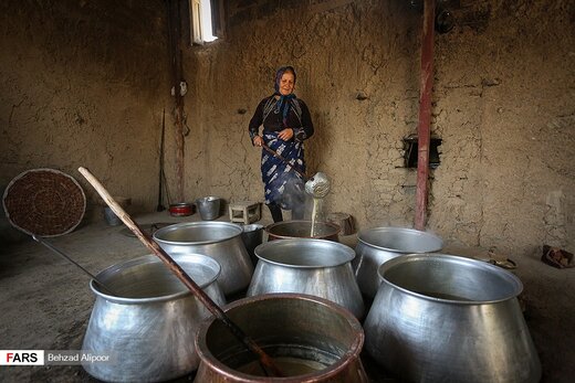 برداشت انگور و تولید شیره در دره جوزان