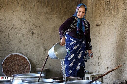 برداشت انگور و تولید شیره در دره جوزان