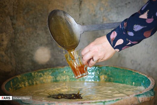 برداشت انگور و تولید شیره در دره جوزان