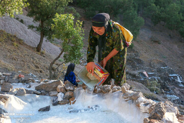  تصاویر | استخراج نمک در مسیرهای صعب‌العبور