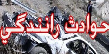 تصادف خونبار خودرو با گاومیش ۹ مصدوم به جا گذاشت