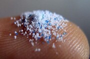 پلاستیک چطور وارد غذا و بدن ما می‌شود؟