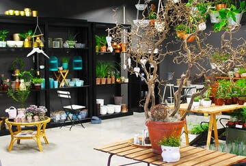 شکار گنج در فضای مجازی؛ خرید کالای دست دوم نشانه فقر است؟