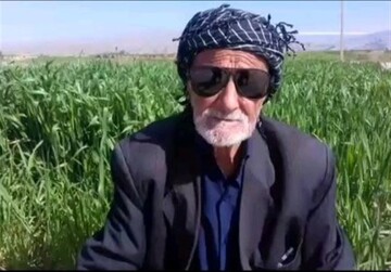 وزارت کار: یک میلیون بازنشسته ۶۰ سال به بالا هنوز کار می‌کنند