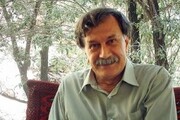 انتقاد از بی‌توجهی به اشعار ترکی عمران صلاحی