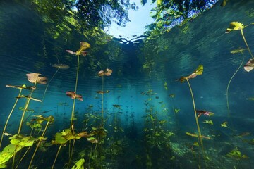 عکس ارسالی به رقابت جهانی عکاسی سونی ۲۰۲۰