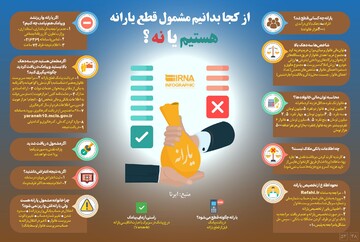 اینفوگرافیک | از کجا بدانیم مشمول قطع یارانه هستیم یا نه؟