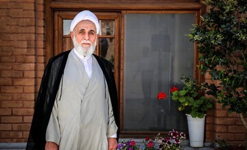 اقدام کم سابقه ناطق نوری بعد از وزیر کشور شدن محتشمی پور /نه  قاعده بازی را بلدیم نه ابزار دموکراسی را داریم