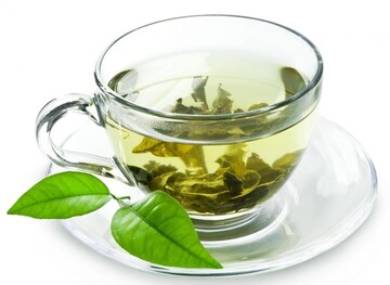 با مصرف چای سبز با باکتری‌های مقاوم به آنتی‌بیوتیک مقابله کنید