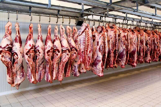 ۲۰ هزار تن گوشت قرمز به بازار عرضه می شود