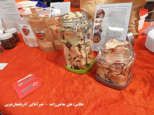 آغاز به کار پنجمین نمایشگاه اشتغال و توسعه کارآفرینی دانشگاه علمی کاربردی