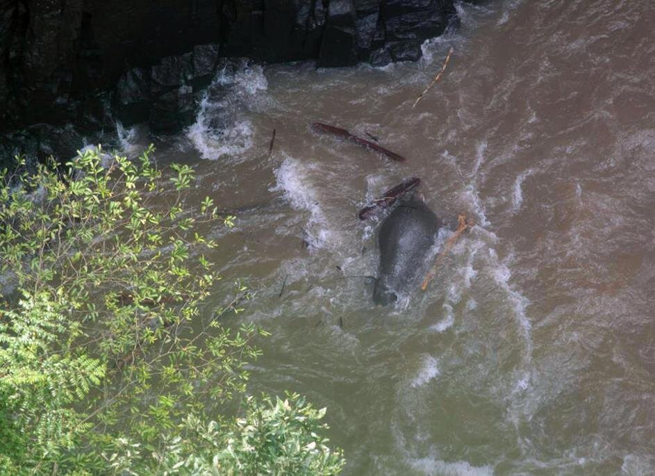 مرگ شش فیل بر اثر سقوط از یک آبشار در تایلند
