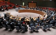 واکنش شورای امنیت سازمان ملل به عملیات نظامی ترکیه