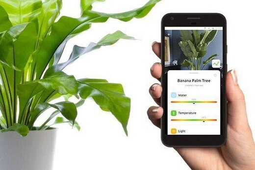 با این اپلیکیشن‌ها از گیاهان خانگی خود مراقبت کنید