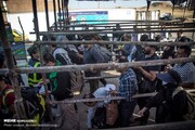 زائران اربعین امروز به مرز خسروی مراجعه نکنند