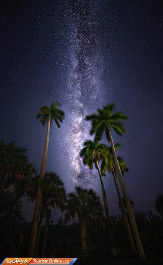 شب‌های ستاره باران اورگلیدز؛ رودخانه علف در فلوریدا