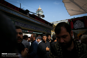 زائران اربعین در حرم امام علی (ع)