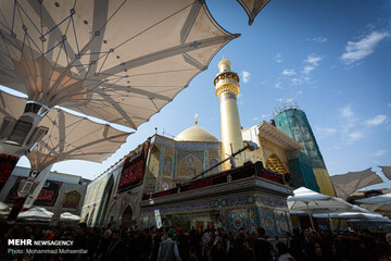 زائران اربعین در حرم امام علی (ع)