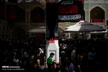 زائران اربعین در حرم امام علی (ع)