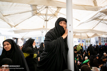 زائران اربعین در حرم امام علی (ع)