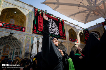 زائران اربعین در حرم امام علی (ع)