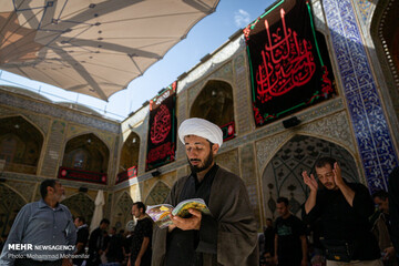 زائران اربعین در حرم امام علی (ع)