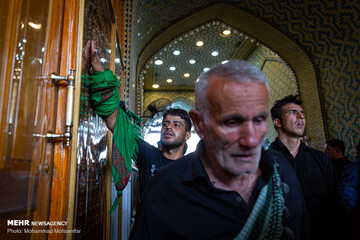 زائران اربعین در حرم امام علی (ع)