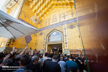 زائران اربعین در حرم امام علی (ع)