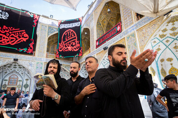 زائران اربعین در حرم امام علی (ع)