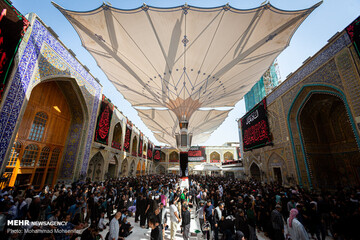 زائران اربعین در حرم امام علی (ع)