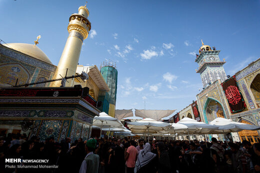 زائران اربعین در حرم امام علی (ع)