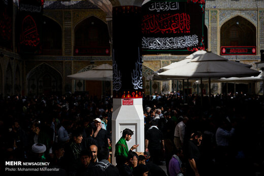 زائران اربعین در حرم امام علی (ع)