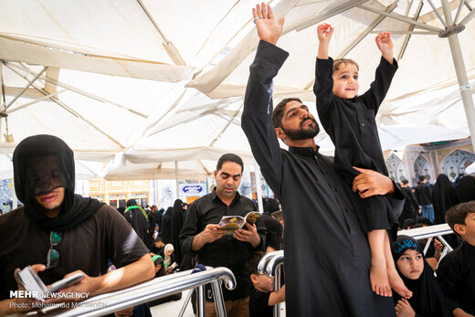 زائران اربعین در حرم امام علی (ع)