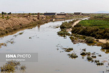 آبگیری تالاب گاوخونی