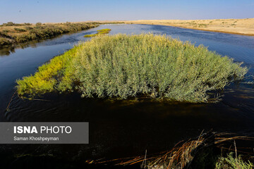 آبگیری تالاب گاوخونی