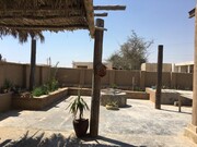زندگی در آلمان، کارآفرینی در روستای نقاشه/ «من تمام زندگی‌ام را جنگیده‌ام»