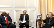 تاکید لاریجانی بر حمایت‌ ایران از حفظ تمامیت ارضی سوریه/ روابط دوجانبه ایران و آفریقای جنوبی نیازمند جهش در حوزه اقتصادی است