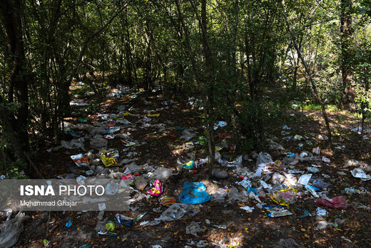 رهاسازی زباله‌ها در جنگل‌ گلستان