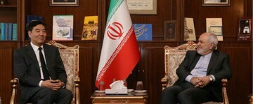 China’s special envoy confers with Iran's FM on regional developments