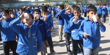 طرح توزیع رایگان «شیر» در مدارس این ۸ استان 
