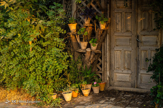 مسجد چوبی